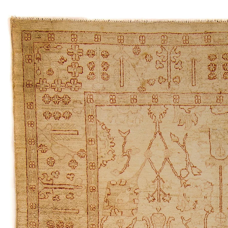 Ziegler Teppich 247 x 173 cm