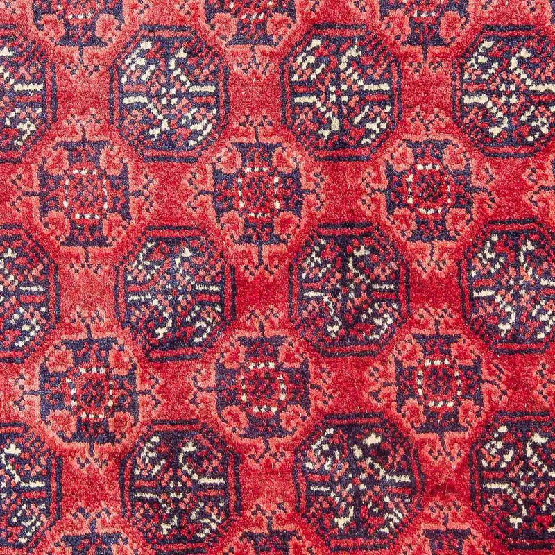 Afghan Teppich - Buchara 299 x 195 cm