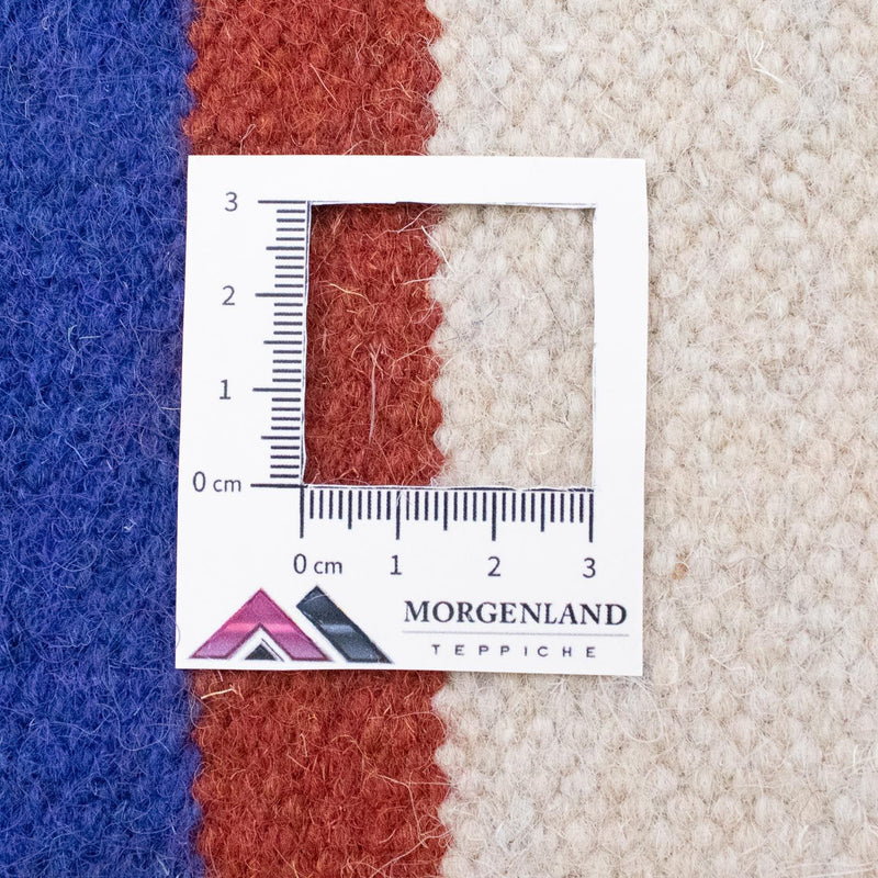 Kelim Teppich - Trendy 300 x 200 cm - beige