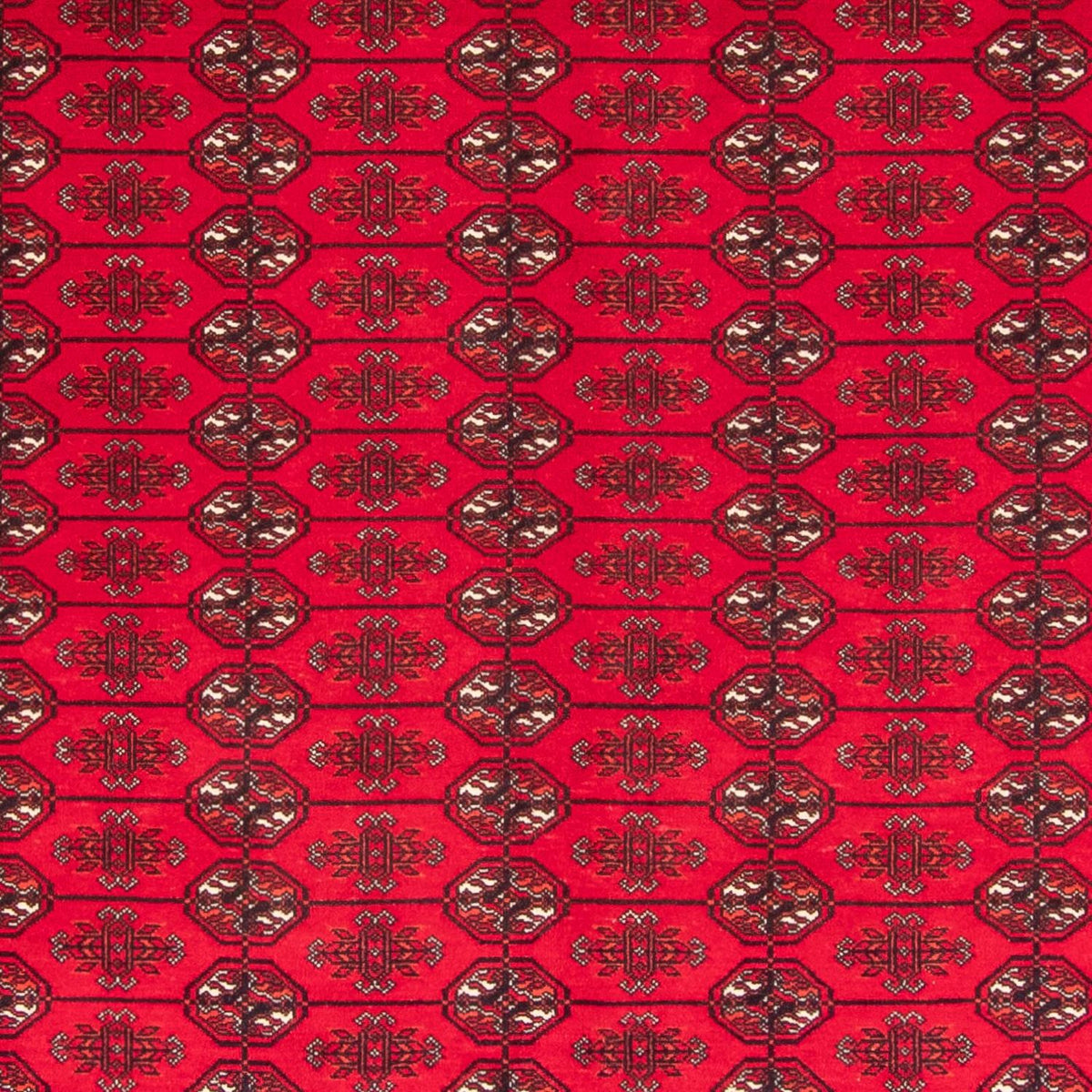 Afghan Teppich - Buchara - 282 x 200 cm - rot