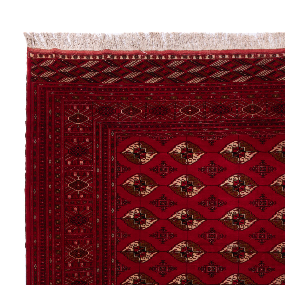 Afghan Teppich - Buchara - 382 x 300 cm - rot
