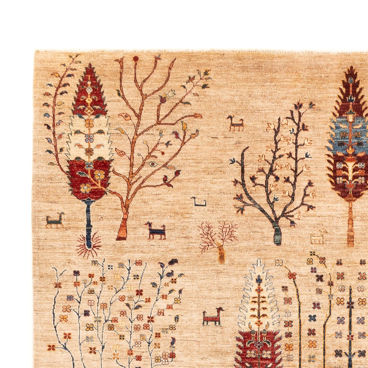 Ziegler Teppich - Ariana - 352 x 241 cm - beige