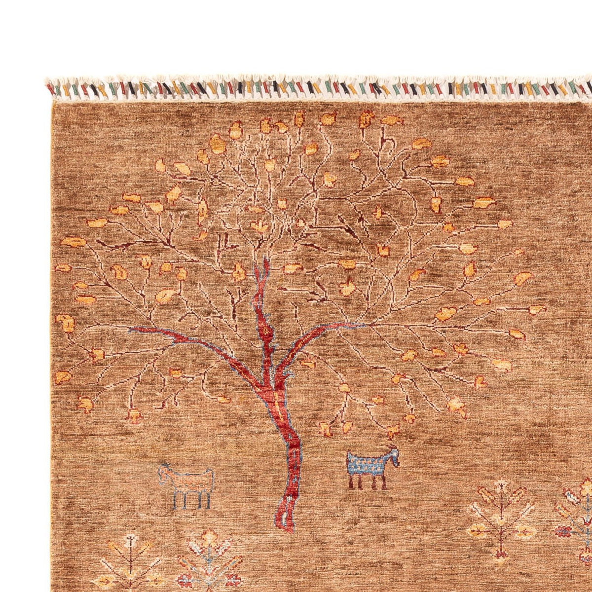 Ziegler Teppich - Ariana - 294 x 206 cm - dunkelbeige