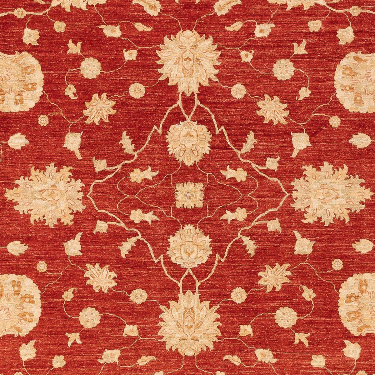 Ziegler Teppich - 360 x 268 cm - rot