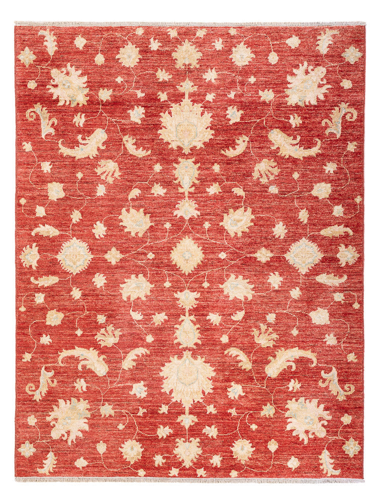Ziegler Teppich - Modern - 206 x 154 cm - rot