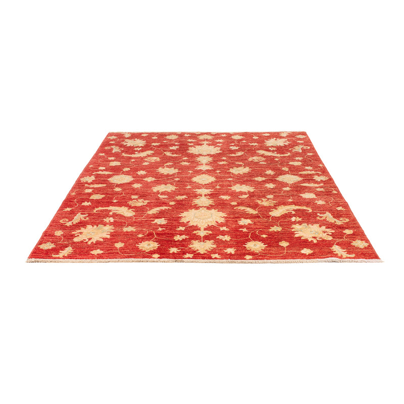 Ziegler Teppich - Modern - 206 x 154 cm - rot