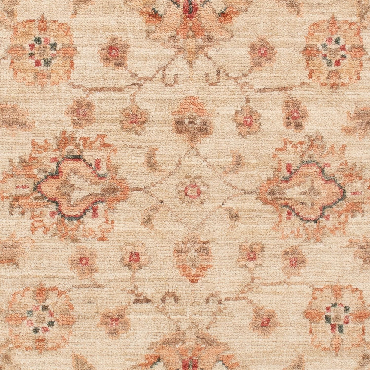 Ziegler Teppich - 120 x 83 cm - beige
