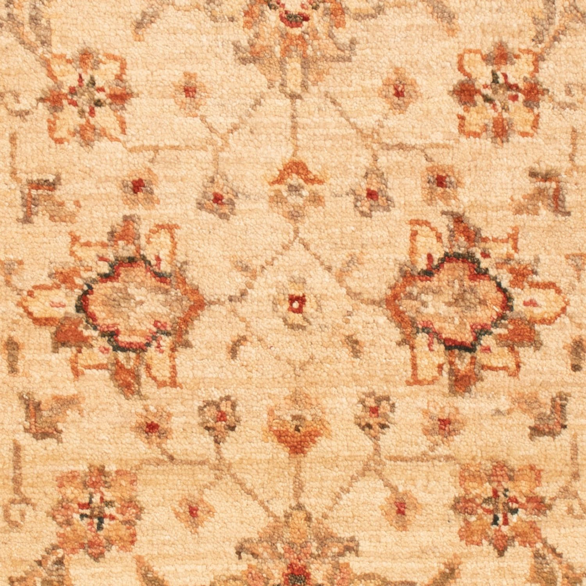 Ziegler Teppich - 94 x 61 cm - beige