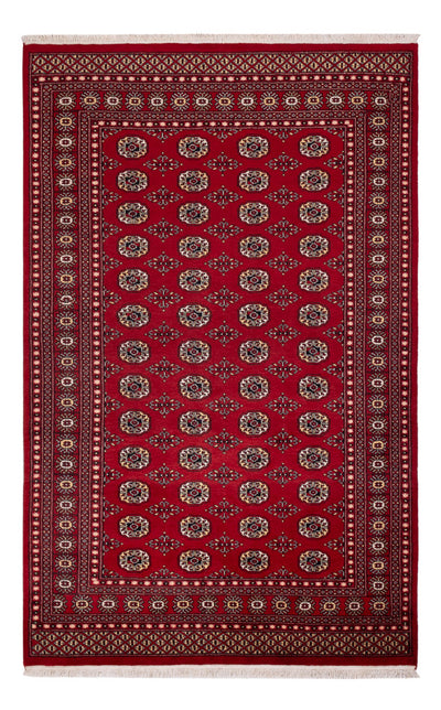 Pakistan Teppich 167x256cm - Orientteppich