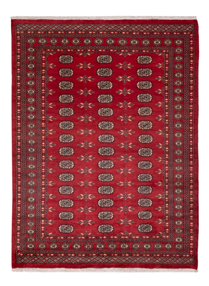 Pakistan Teppich - 231 x 172 cm - rot