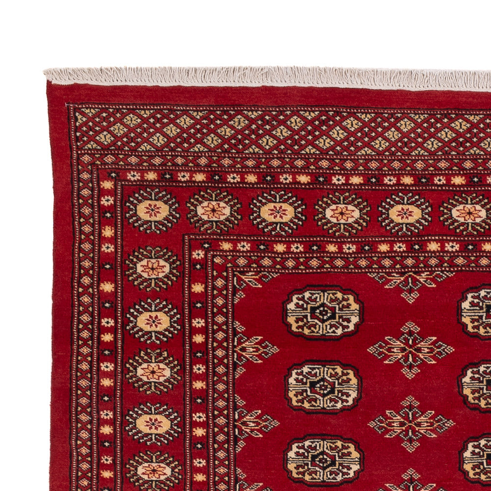 Pakistan Teppich - 245 x 170 cm - rot