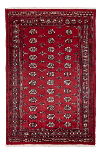 Pakistan Teppich 167x249cm - Orientteppich