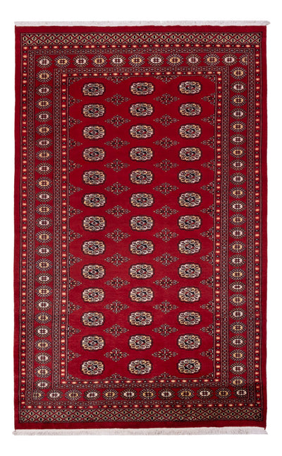 Pakistan Teppich 167x266cm - Orientteppich