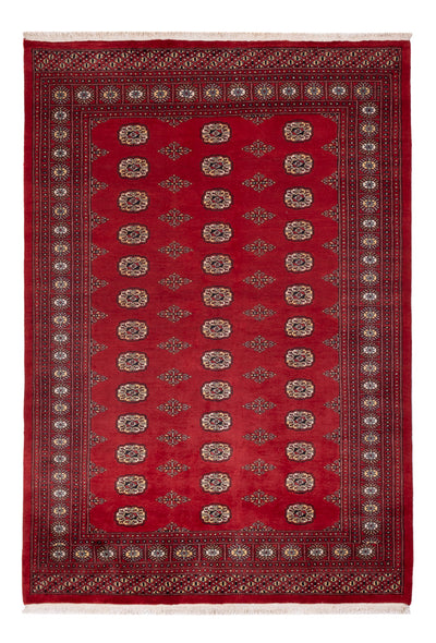 Pakistan Teppich 165x235cm - Orientteppich