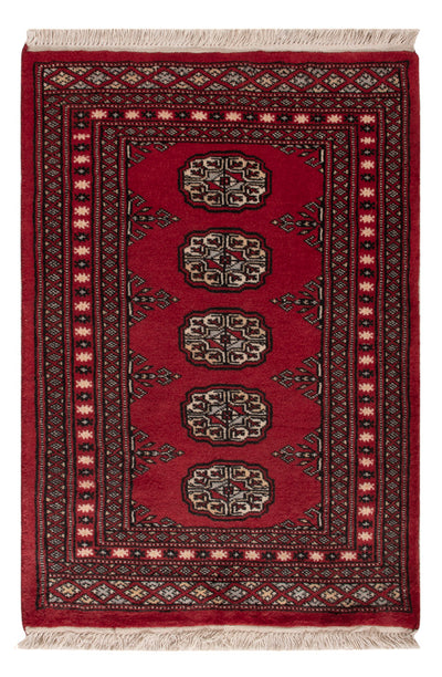 Pakistan Teppich 64x92cm - Orientteppich