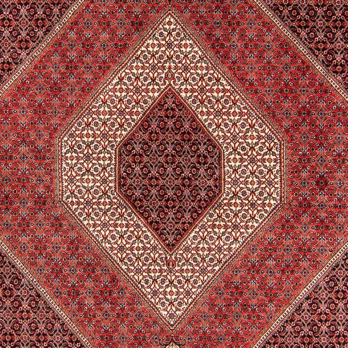 Perserteppich - Bidjar - Royal - 240 x 175 cm - rot