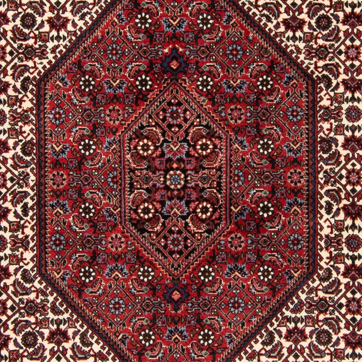 Perserteppich - Bidjar - Royal - 183 x 114 cm - mehrfarbig