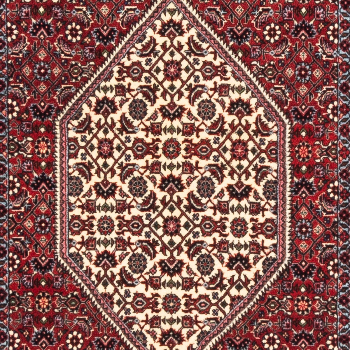 Läufer Perser - Bidjar - Royal - 228 x 78 cm - creme
