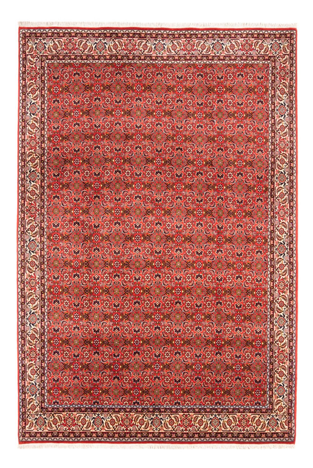 Perserteppich - Bidjar - Royal - 242 x 168 cm - rot