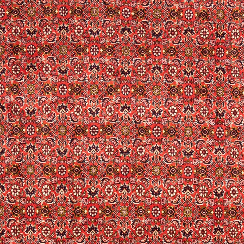 Perserteppich - Bidjar - Royal - 242 x 168 cm - rot