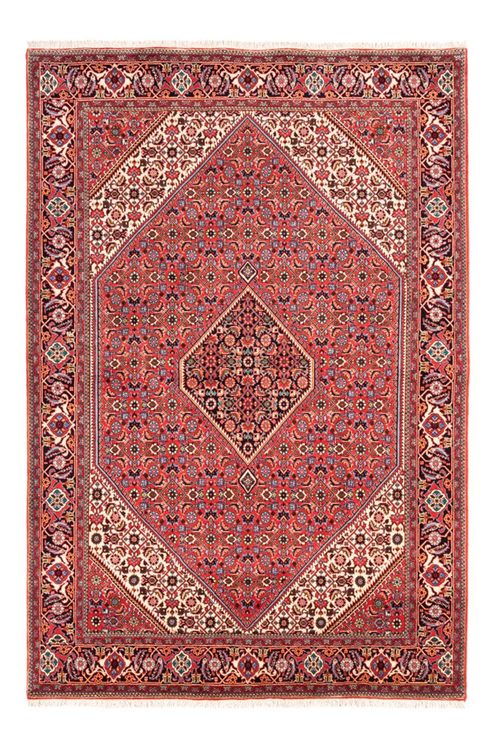 Perserteppich - Bidjar - Royal - 245 x 170 cm - rot