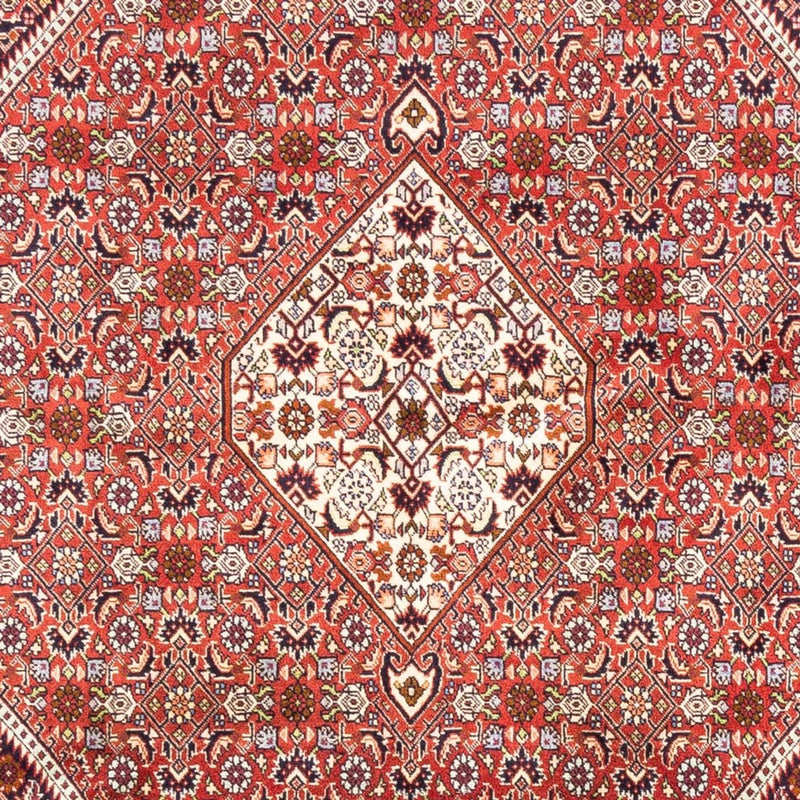 Perserteppich - Bidjar - Royal - 240 x 168 cm - rot