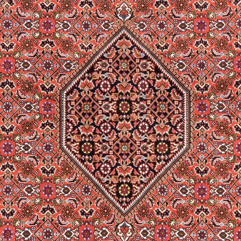 Perserteppich - Bidjar - Royal - 250 x 170 cm - rot