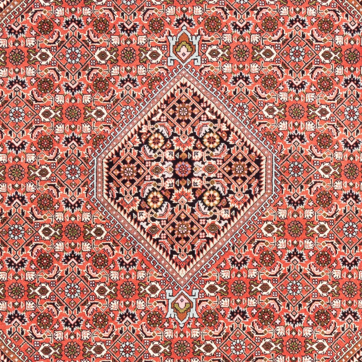 Perserteppich - Bidjar - 235 x 168 cm - rot
