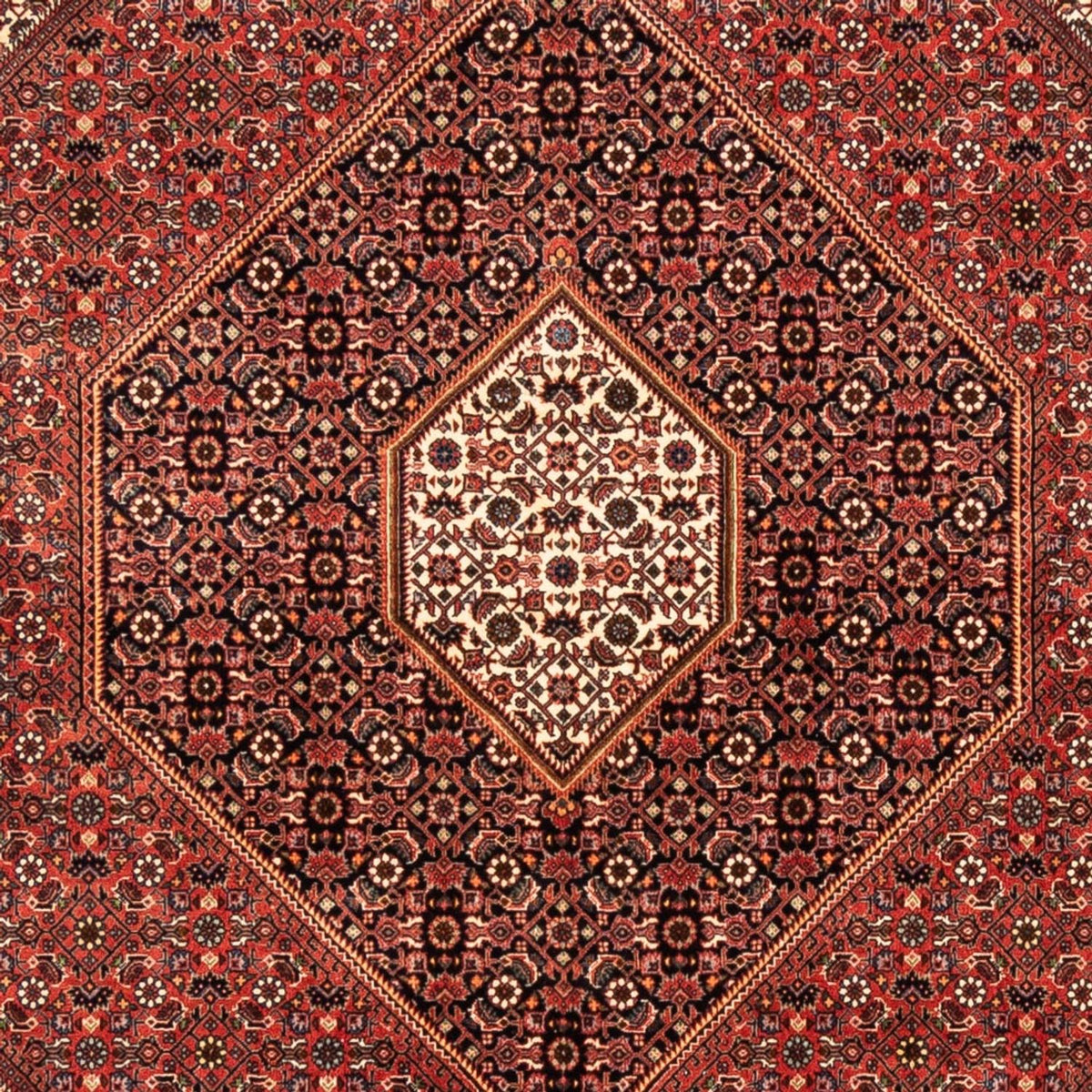 Perserteppich - Bidjar - 235 x 170 cm - rot