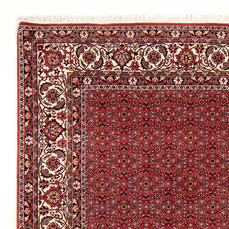 Perserteppich - Bidjar - Royal - 272 x 217 cm - dunkelrot