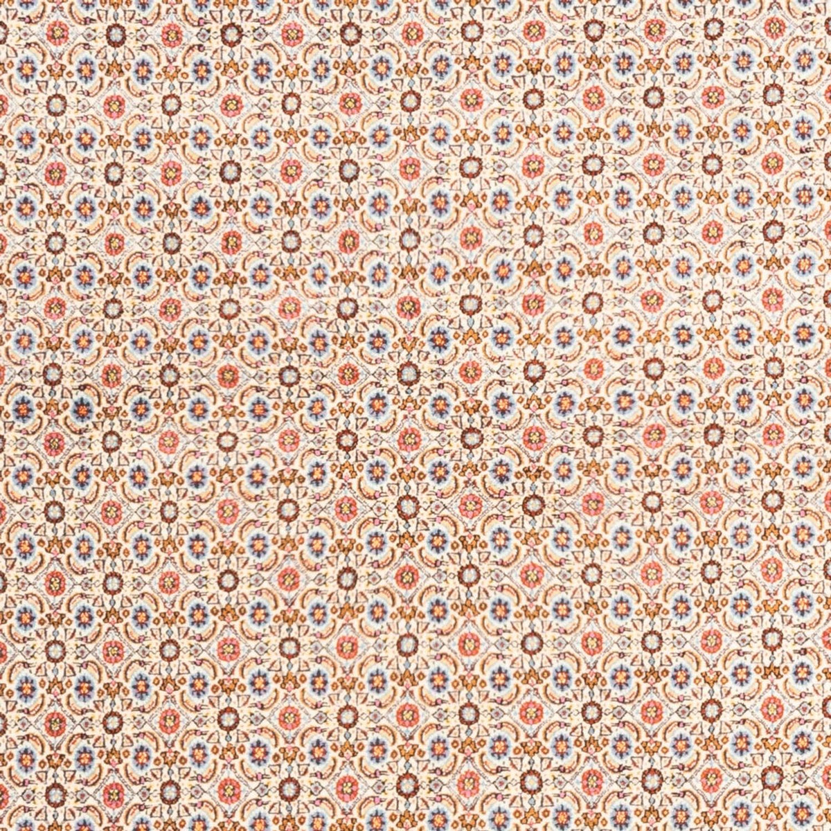 Perserteppich - Classic - 244 x 165 cm - creme