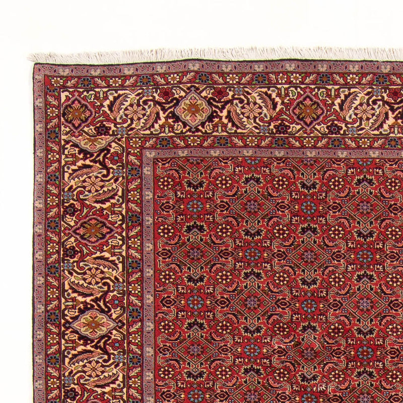 Perserteppich - Bidjar - Royal - 296 x 197 cm - rot