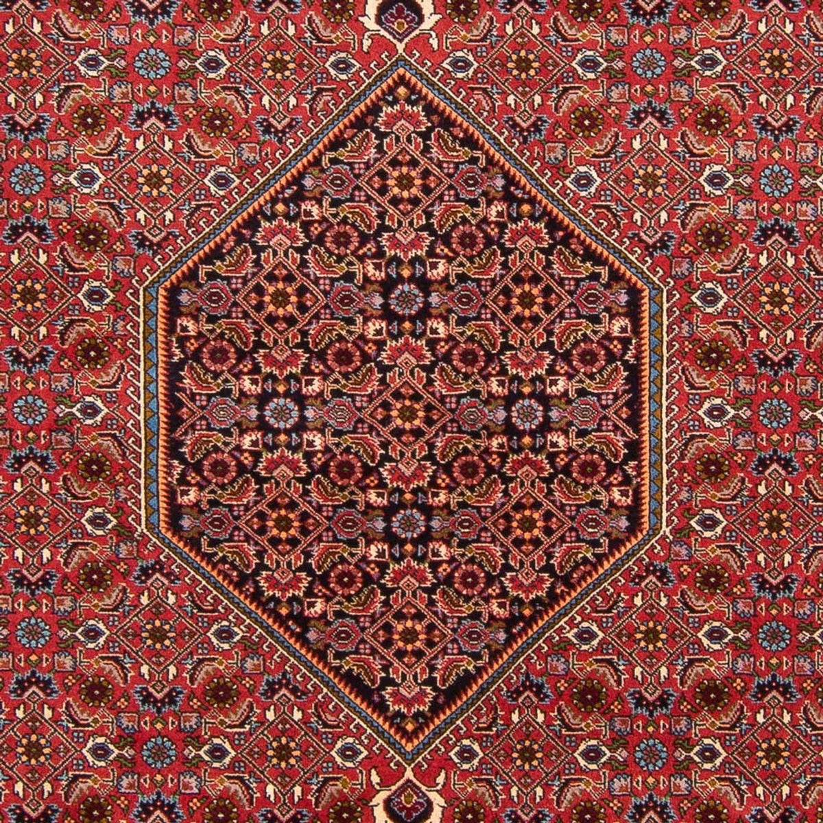 Perserteppich - Bidjar - Royal - 301 x 200 cm - rot