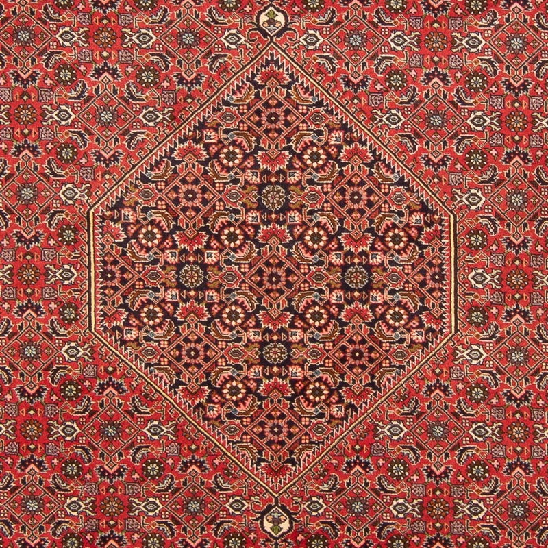 Perserteppich - Bidjar - Royal - 298 x 197 cm - rot