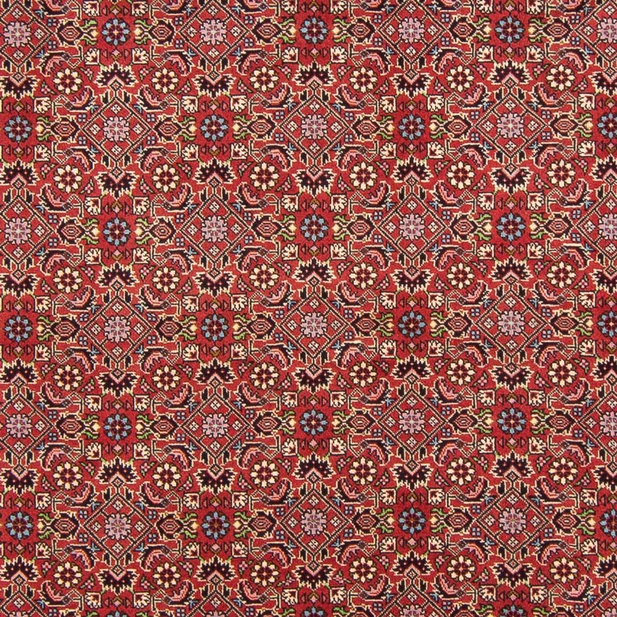 Perserteppich - Bidjar - Royal - 290 x 198 cm - rot
