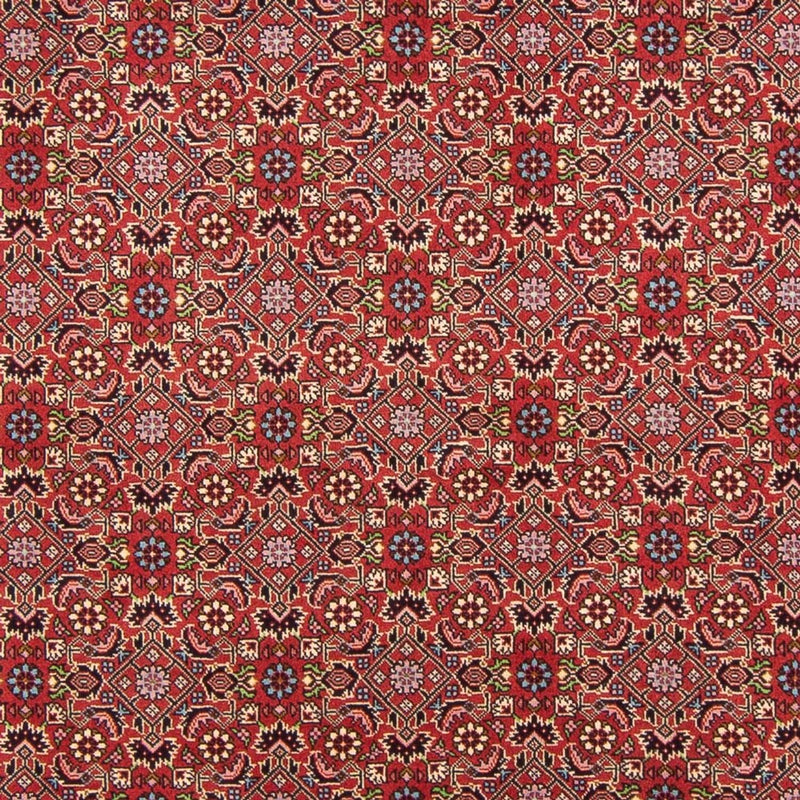 Perserteppich - Bidjar - Royal - 290 x 198 cm - rot