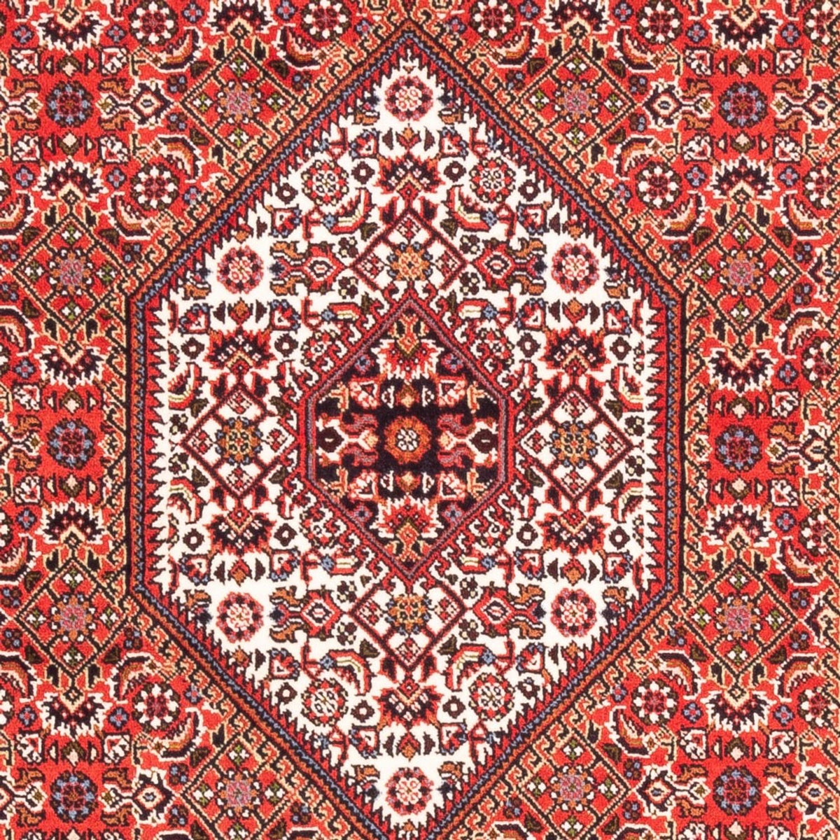 Perserteppich - Bidjar - Royal - 183 x 110 cm - rot