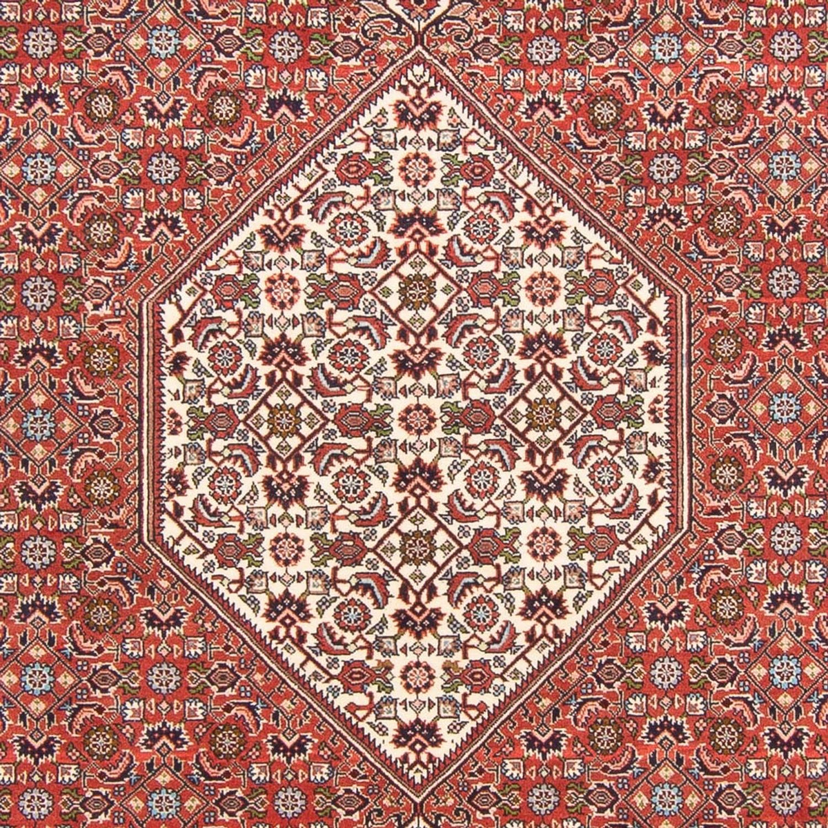 Perserteppich - Bidjar - Royal - 291 x 194 cm - rot