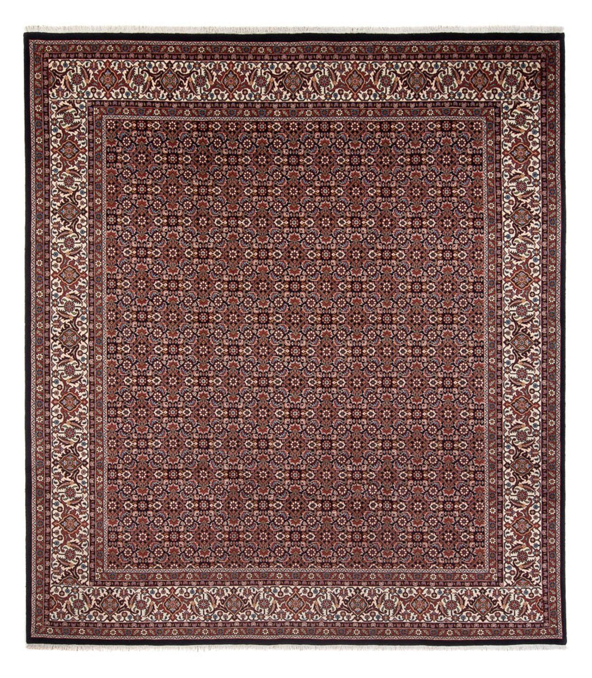 Perserteppich - Bidjar - Royal - 300 x 248 cm - dunkelblau