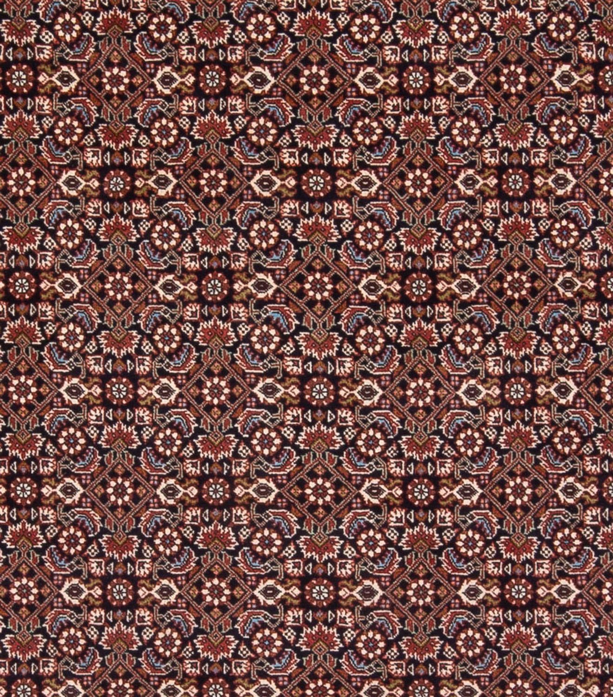 Perserteppich - Bidjar - Royal - 300 x 248 cm - dunkelblau