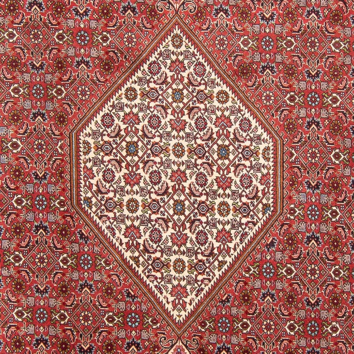 Perserteppich - Bidjar - Royal - 310 x 203 cm - rot