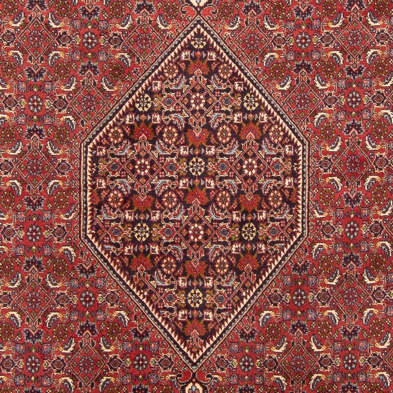 Perserteppich - Bidjar - Royal - 301 x 200 cm - rot