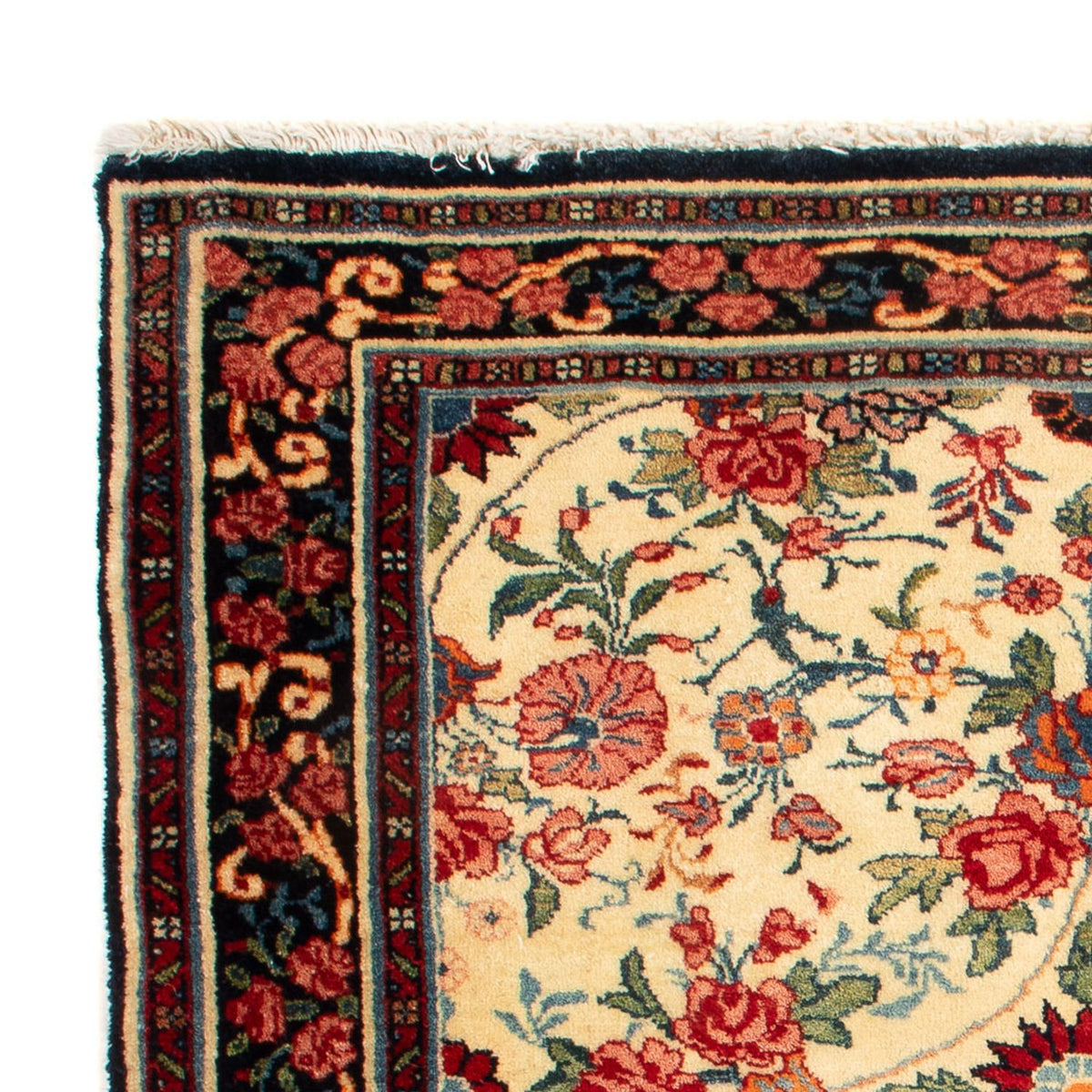 Perserteppich - Bidjar - Royal quadratisch  - 70 x 70 cm - creme