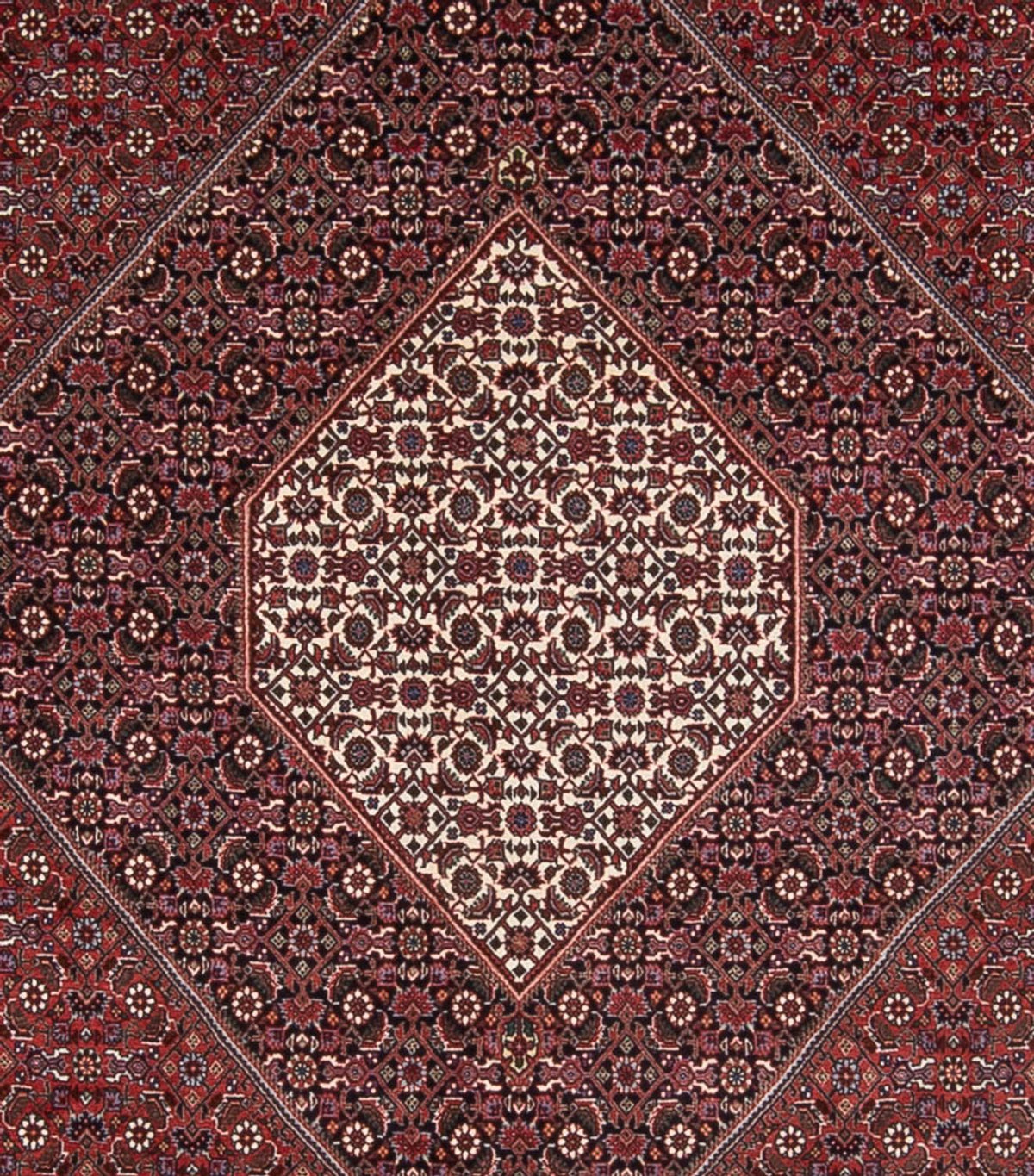 Perserteppich - Bidjar - Royal - 370 x 253 cm - rost