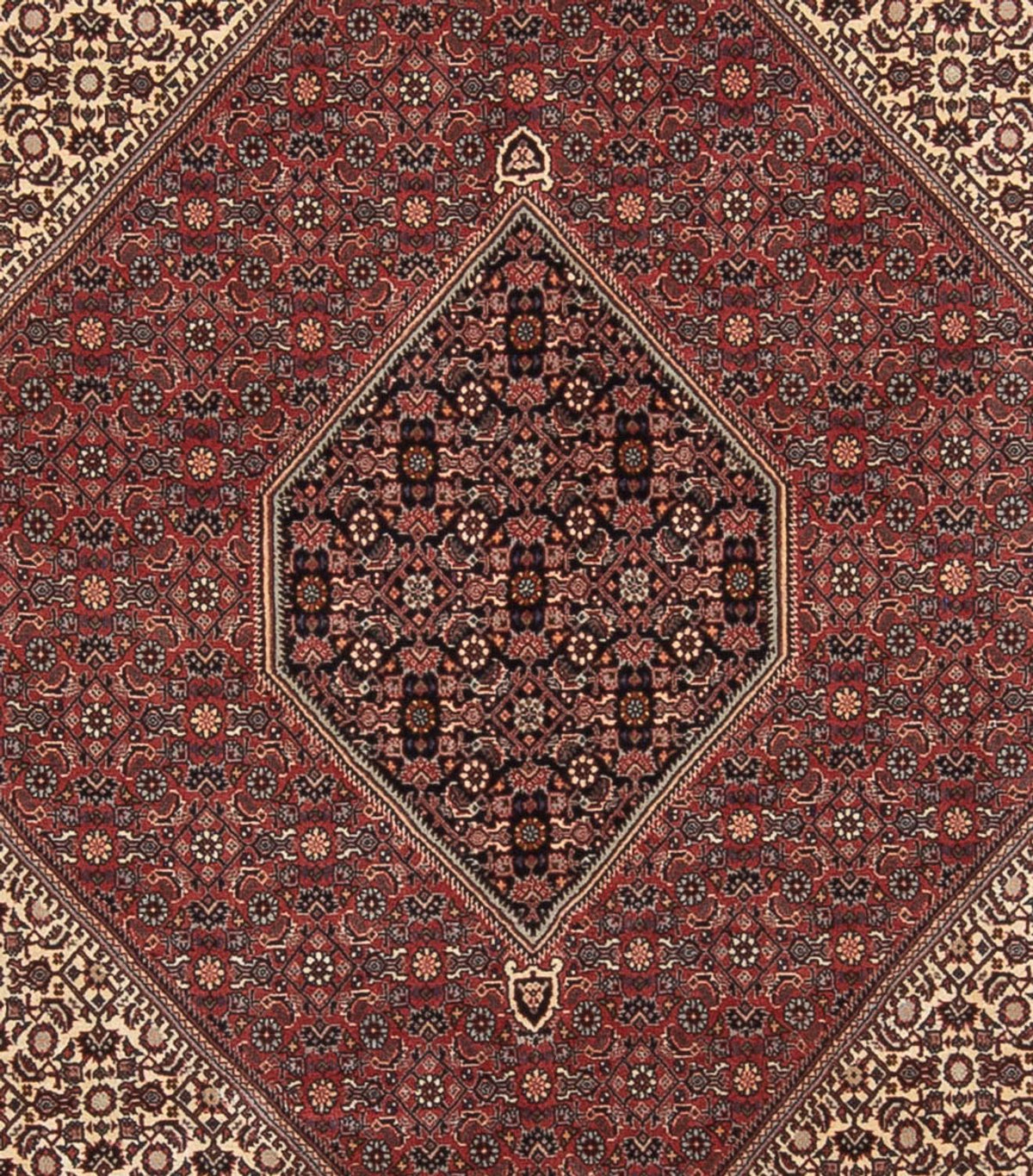 Perserteppich - Bidjar - Royal - 345 x 250 cm - dunkelrot