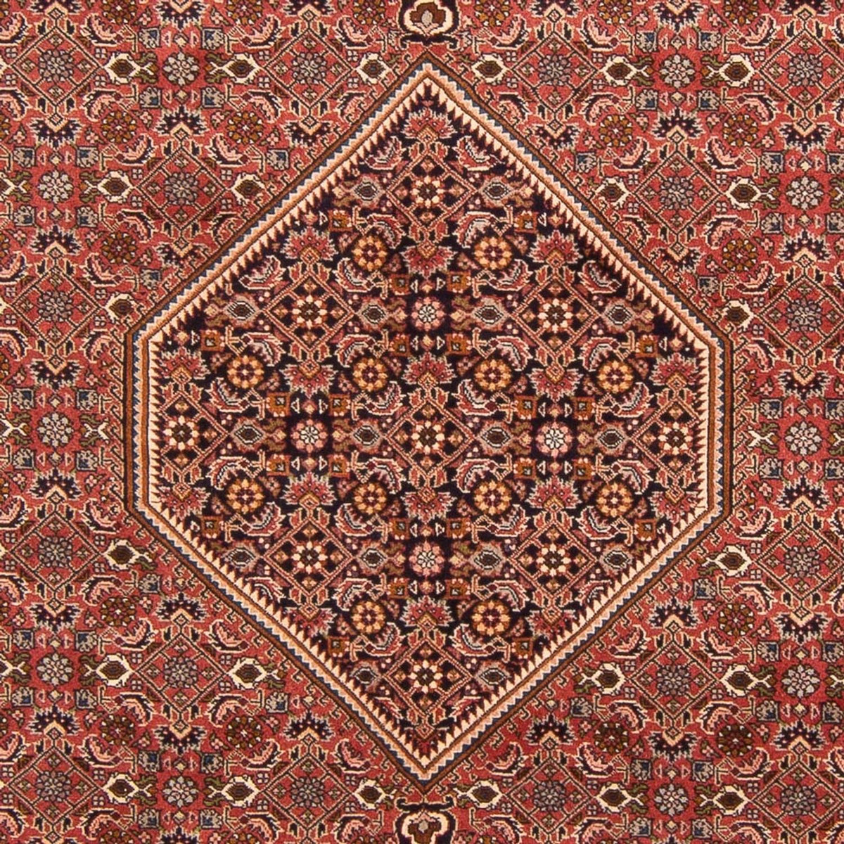 Perserteppich - Bidjar - Royal - 297 x 196 cm - rot