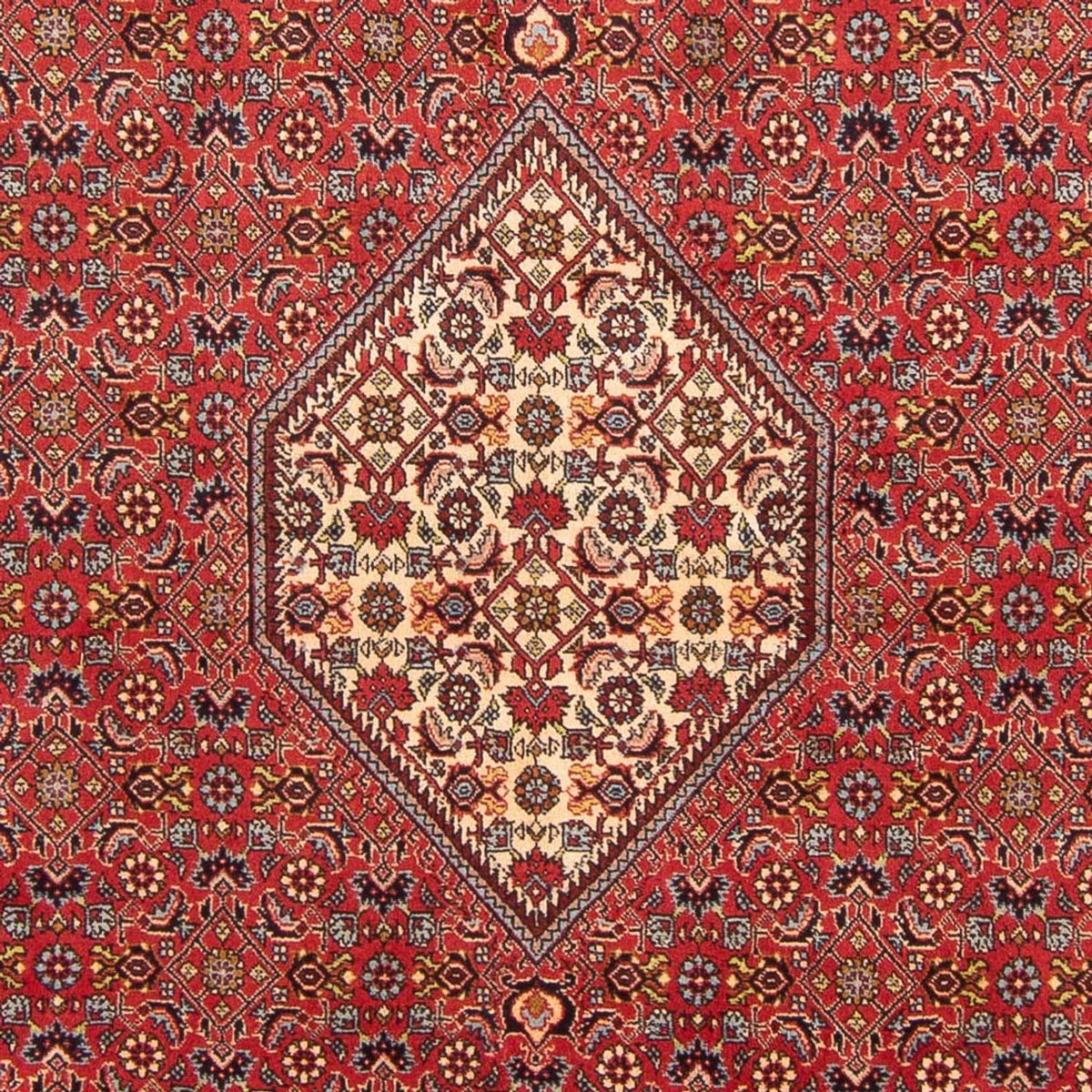 Perserteppich - Bidjar - Royal - 293 x 206 cm - rot
