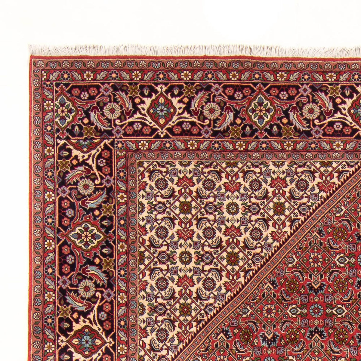 Perserteppich - Bidjar - Royal - 307 x 200 cm - rot
