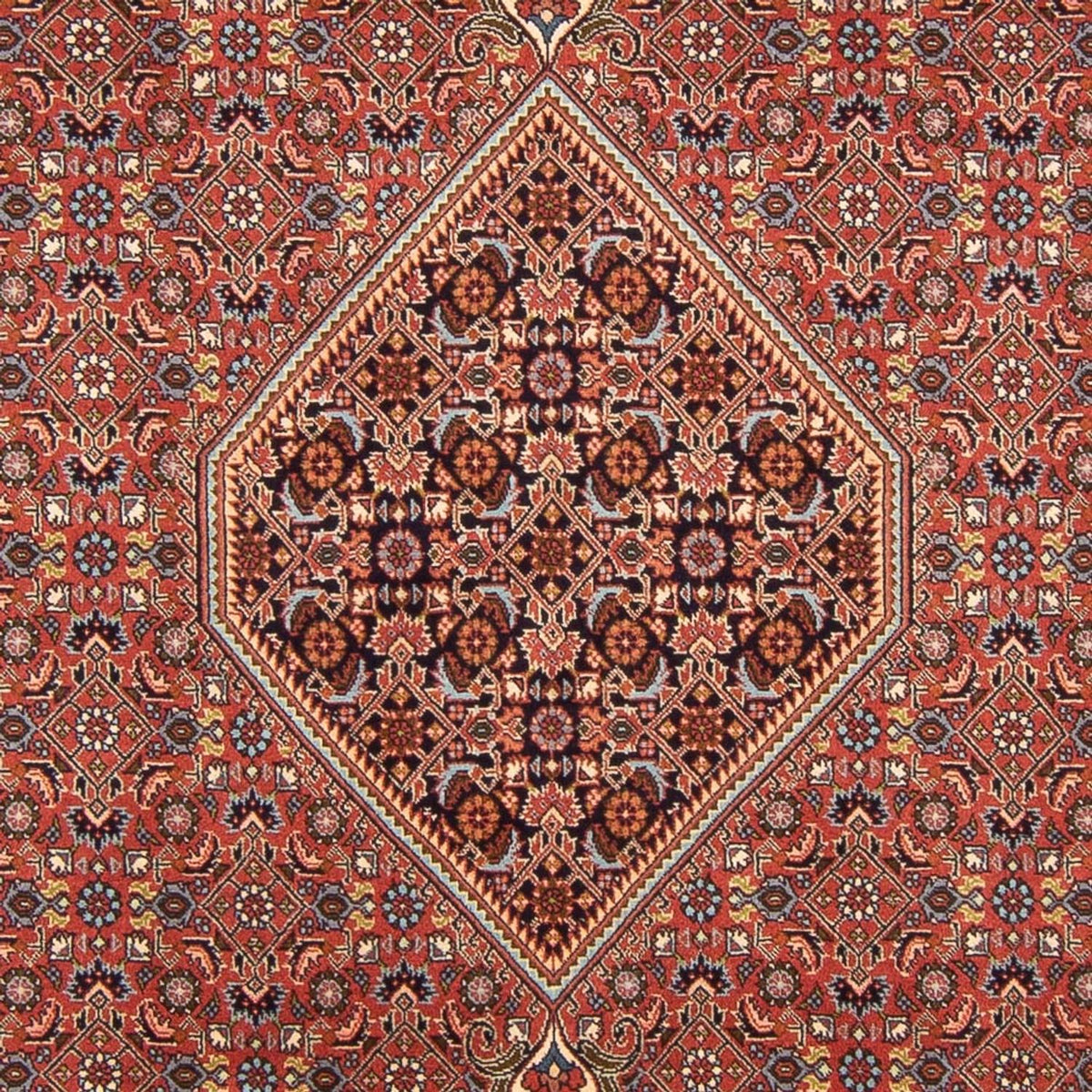 Perserteppich - Bidjar - Royal - 296 x 197 cm - rot