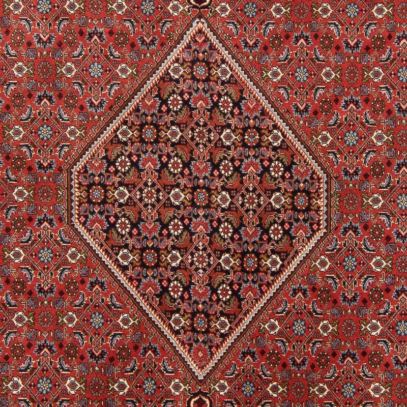 Perserteppich - Bidjar - Royal - 310 x 200 cm - rot